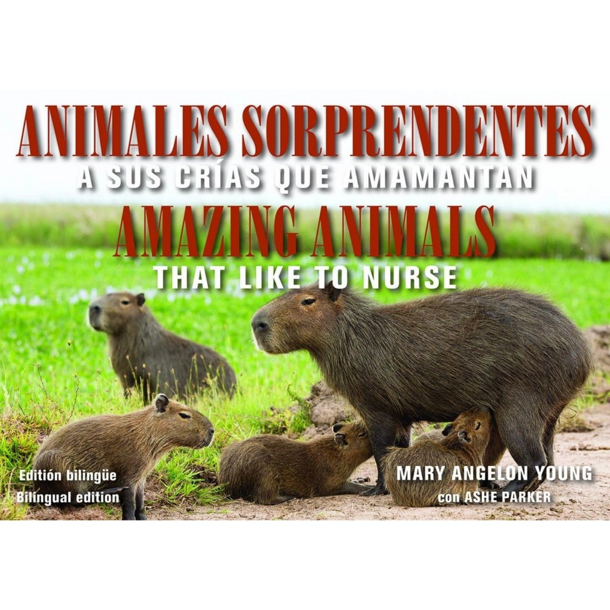 Animales Sorprendentes/Amazing Animals - English & Spanish Bilingual Edition: التي ترضع صغارها تأليف ماري أنجيلون يونغ - 25 يوليو 2020