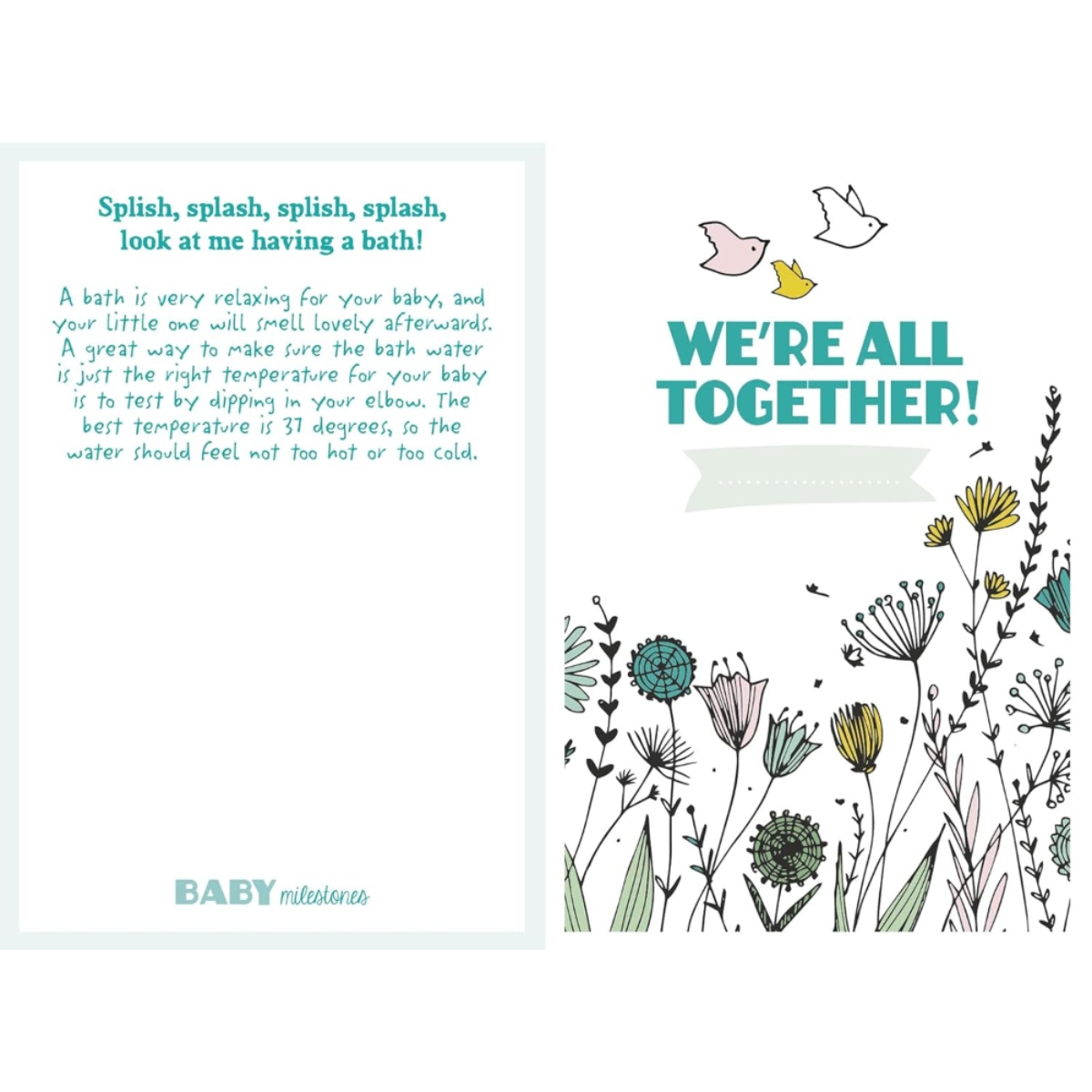 Baby Milestones Cards : سجّل اللحظات الخاصة مع طفلك بطريقة مبتكرة تأليف لينكي دن هيرتوغ - 23 نوفمبر 2018