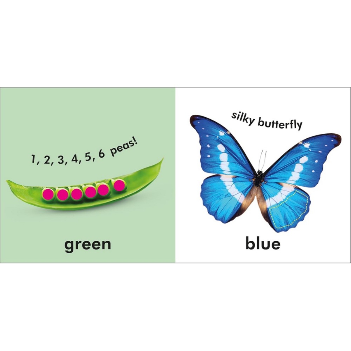 Baby Touch and Feel Colours and Shapes تأليف دي كي - 2 فبراير 2009