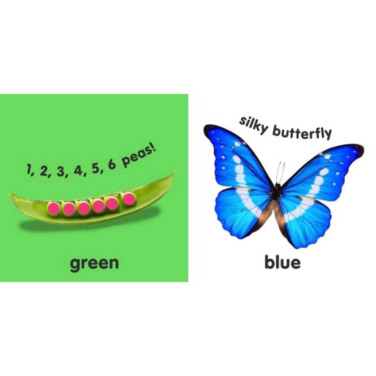 Baby Touch and Feel Colours and Shapes تأليف دي كي - 2 فبراير 2009