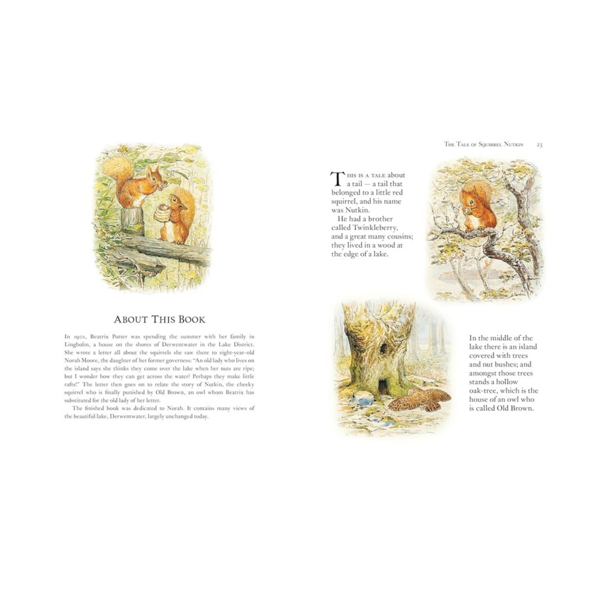 Beatrix Potter The Complete Tales by Beatrix Potter - 26 June 2012