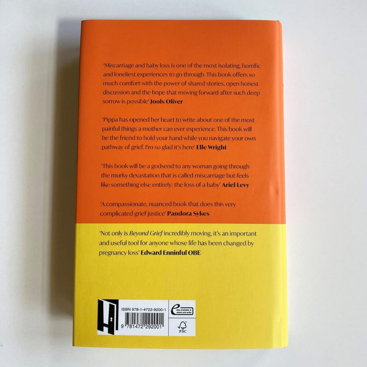 Beyond Grief: التنقل في رحلة فقدان الحمل والطفل تأليف بيبا فوسبر - 25 أغسطس 2022