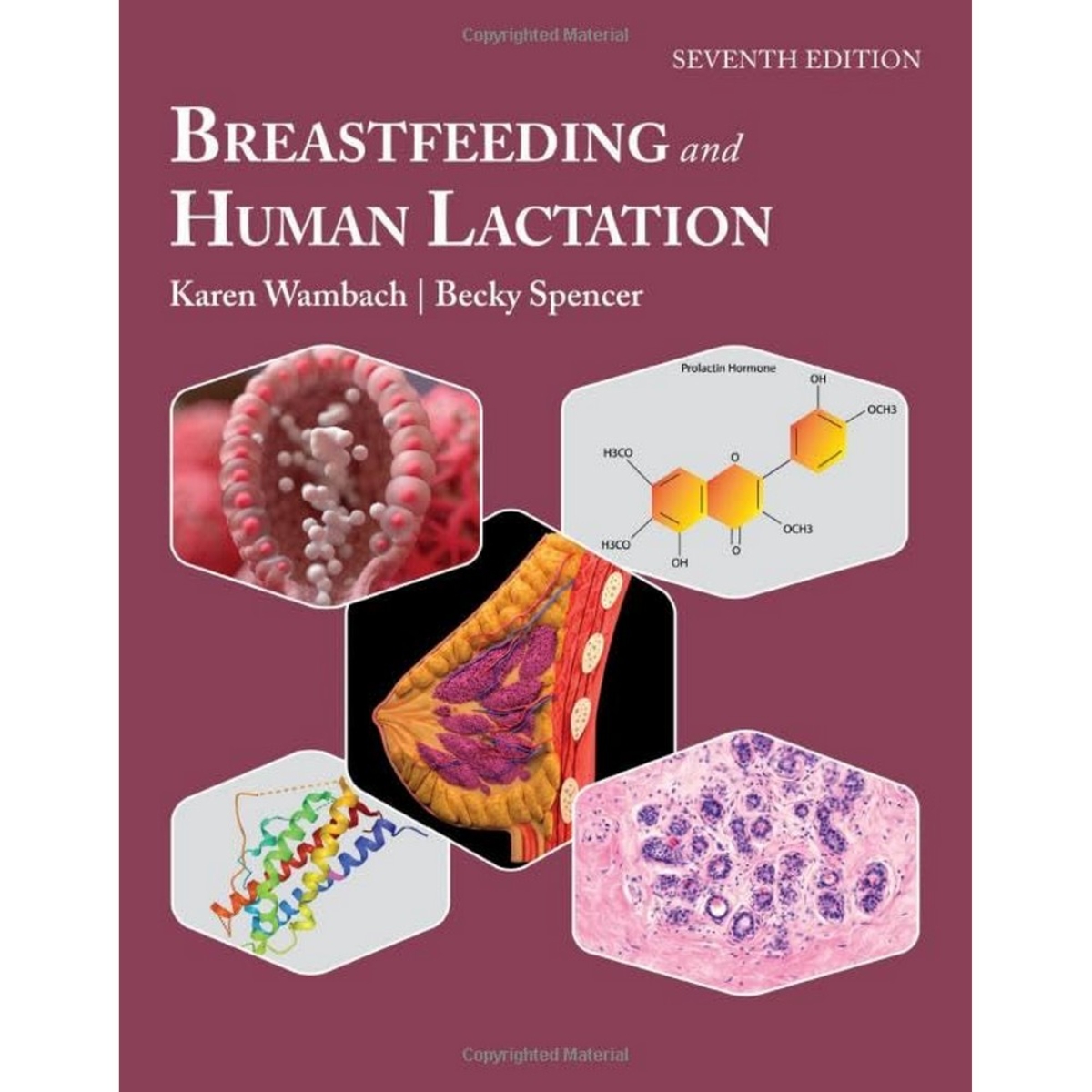 Breastfeeding and Human Lactation تأليف كارين وامباخ وبيكي سبنسر - 1 سبتمبر 2024