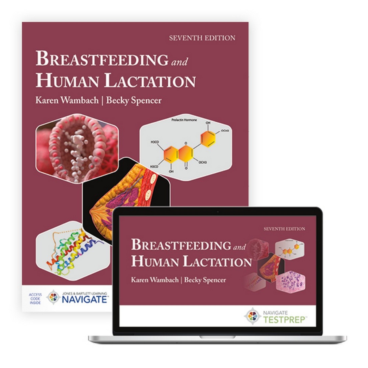 Breastfeeding and Human Lactation تأليف كارين وامباخ وبيكي سبنسر - 1 سبتمبر 2024