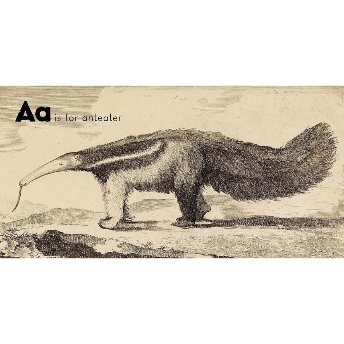 British Museum: ABC : الأبجدية تأليف نوزي كرو - 4 مايو 2017