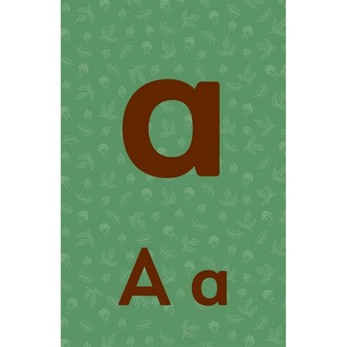 Brown Bear Wood: Let’s Learn Our ABCs : 26 بطاقة فلاش أبجدية مزدوجة الجوانب تأليف فريا هارتاس - 1 فبراير 2024