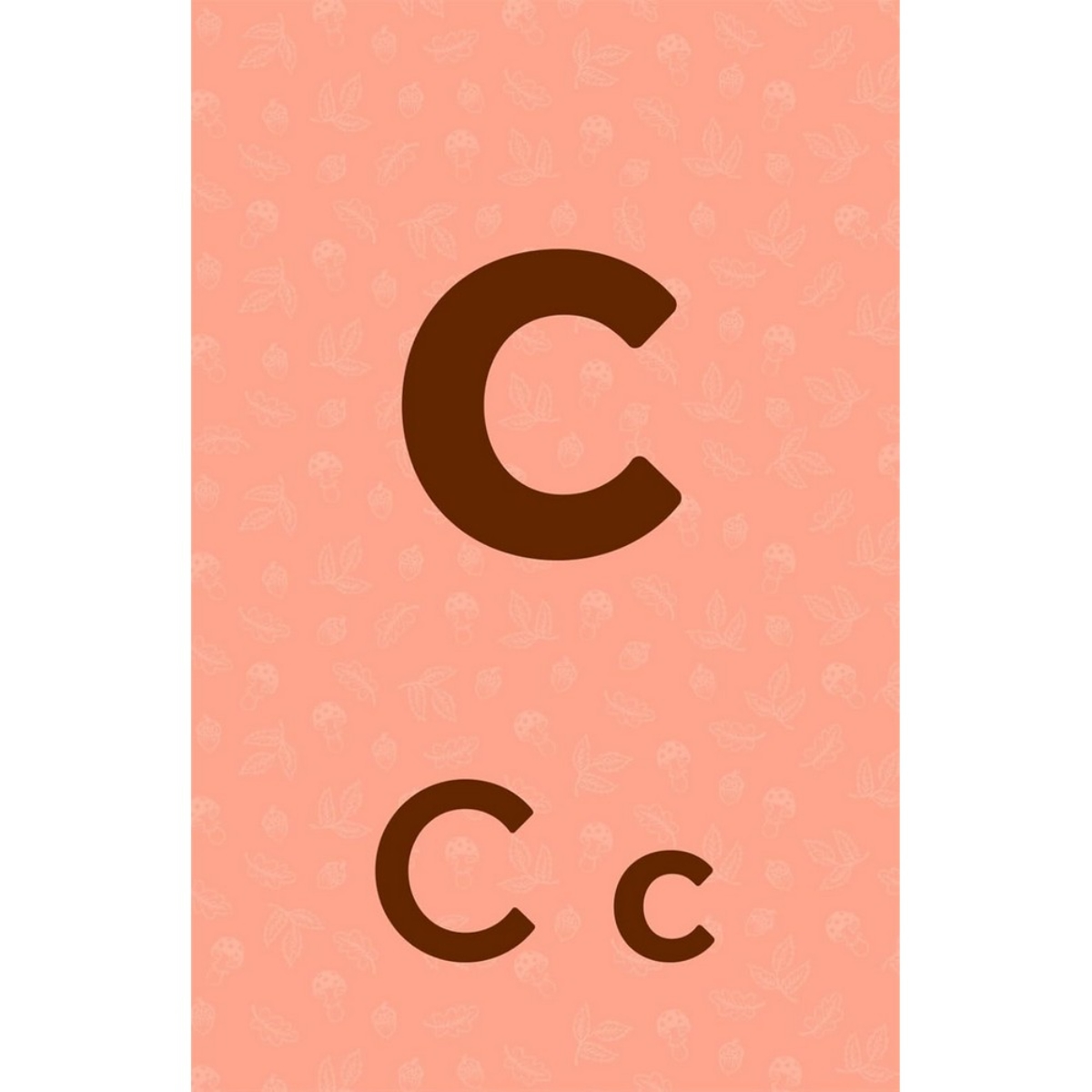 Brown Bear Wood: Let’s Learn Our ABCs : 26 بطاقة فلاش أبجدية مزدوجة الجوانب تأليف فريا هارتاس - 1 فبراير 2024