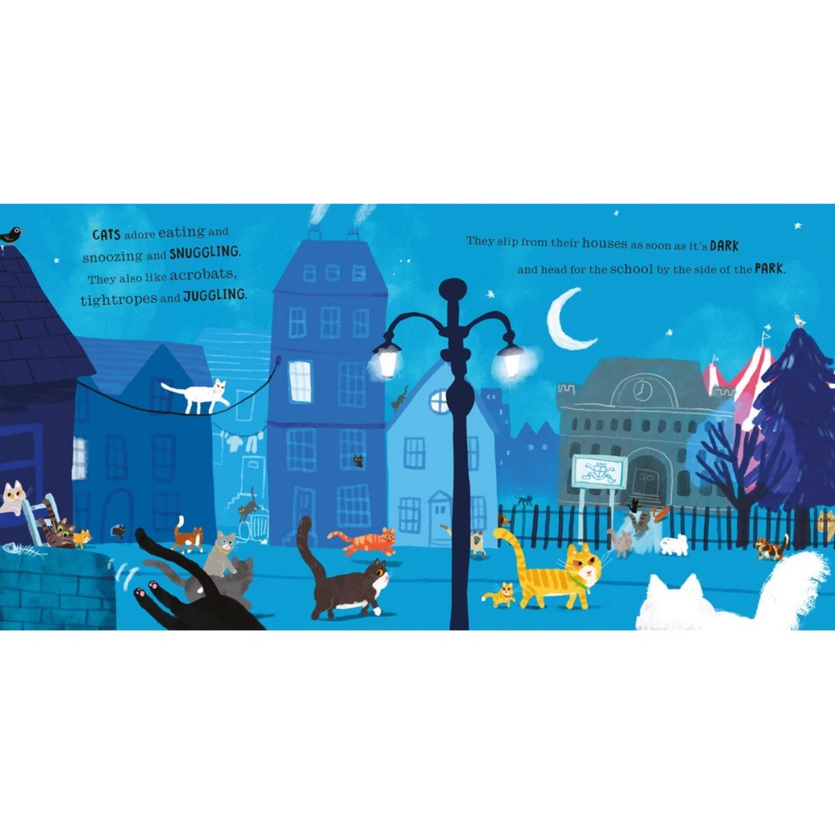 Cats in Chaos by Peter Bently - 7 July 2022