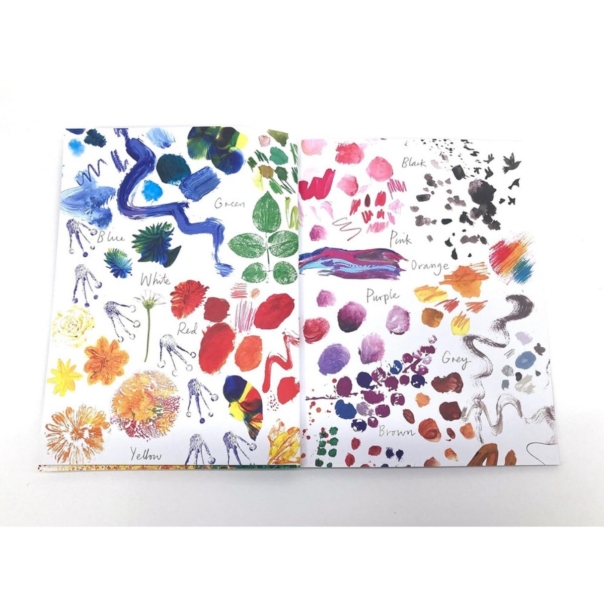 Colours, Colours Everywhere: مغامرة برفرفات تأليف جوليا دونالدسون - 4 أبريل 2024