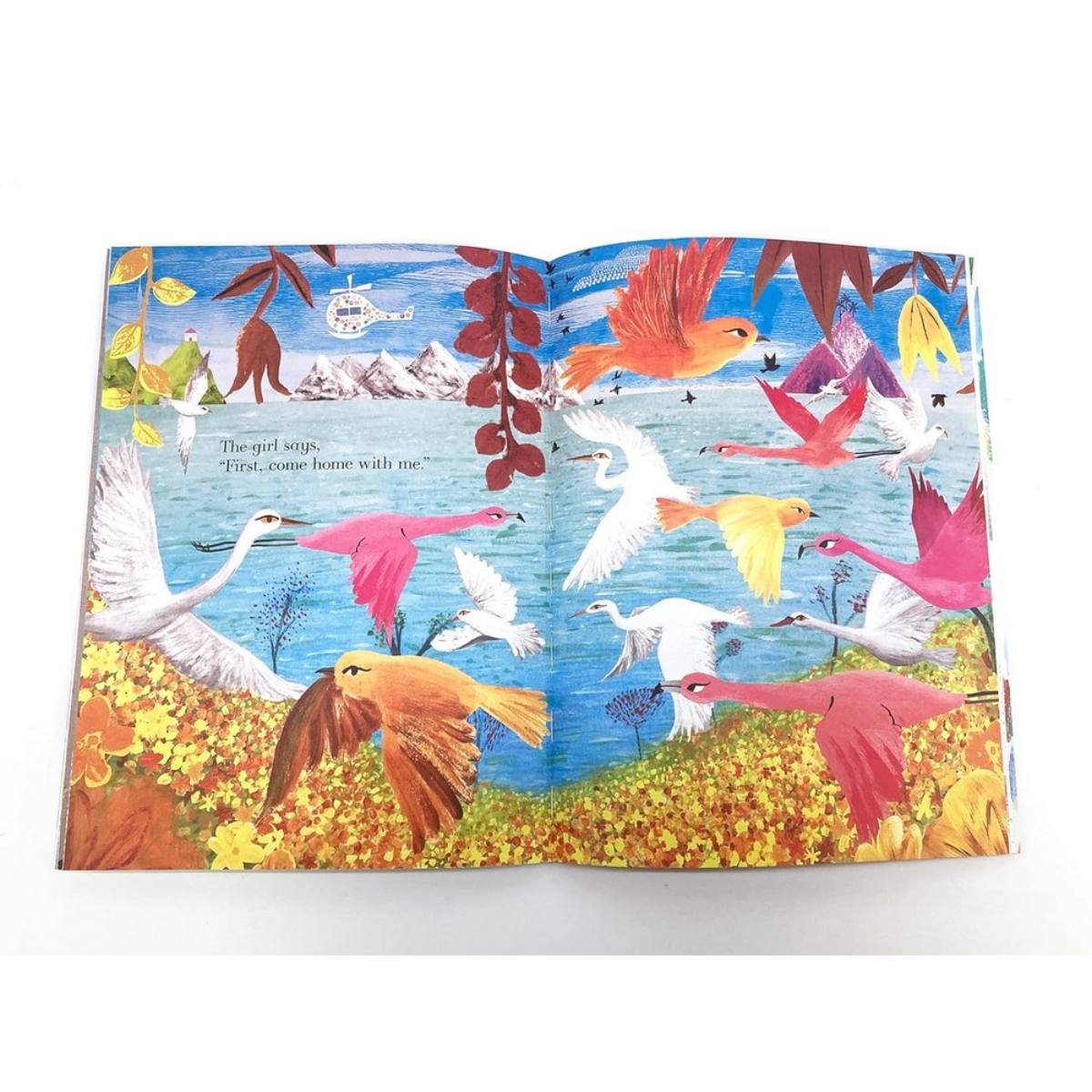 Colours, Colours Everywhere: مغامرة برفرفات تأليف جوليا دونالدسون - 4 أبريل 2024