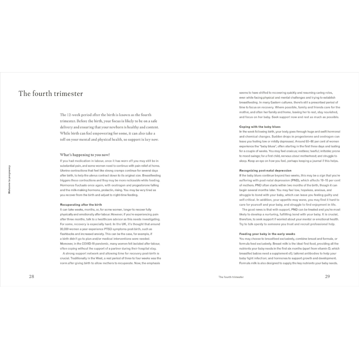 Deliciously Healthy Pregnancy: التغذية والوصفات لصحة مثالية من الحمل إلى الأمومة تأليف ريانون لامبرت - 8 سبتمبر 2022