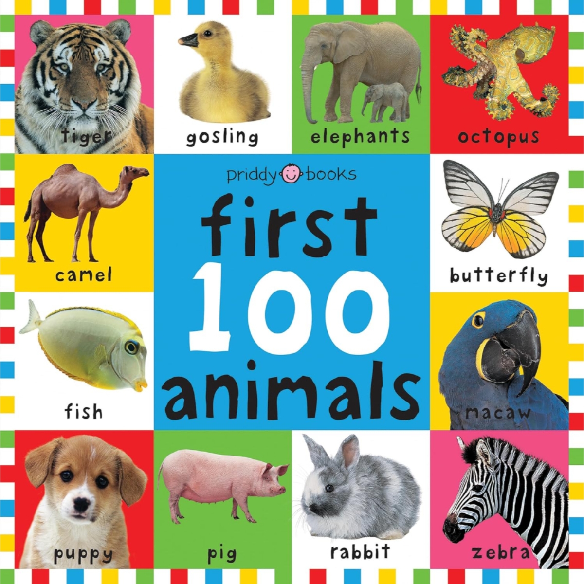 First 100 Animals: من تأليف روجر بريدي - 13 يناير 2006