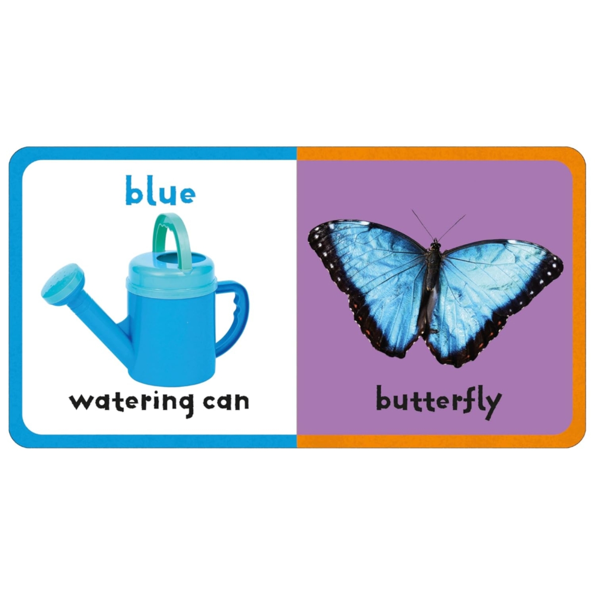 First Felt: Colours من تأليف بريدي بوكس – 18 يناير 2024