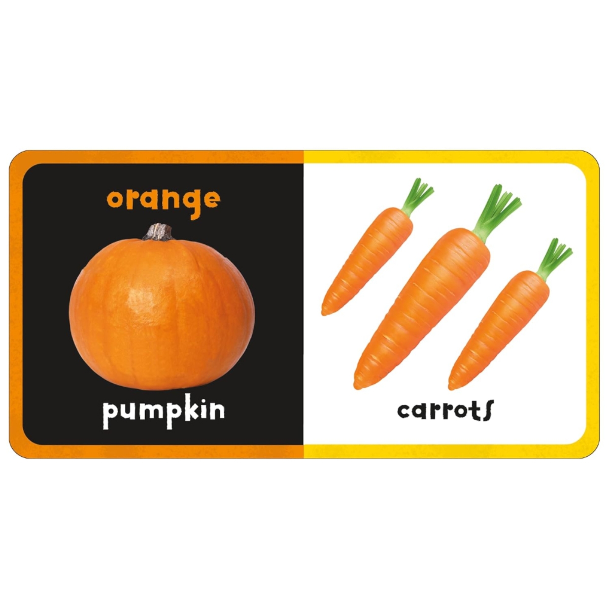 First Felt: Colours من تأليف بريدي بوكس – 18 يناير 2024