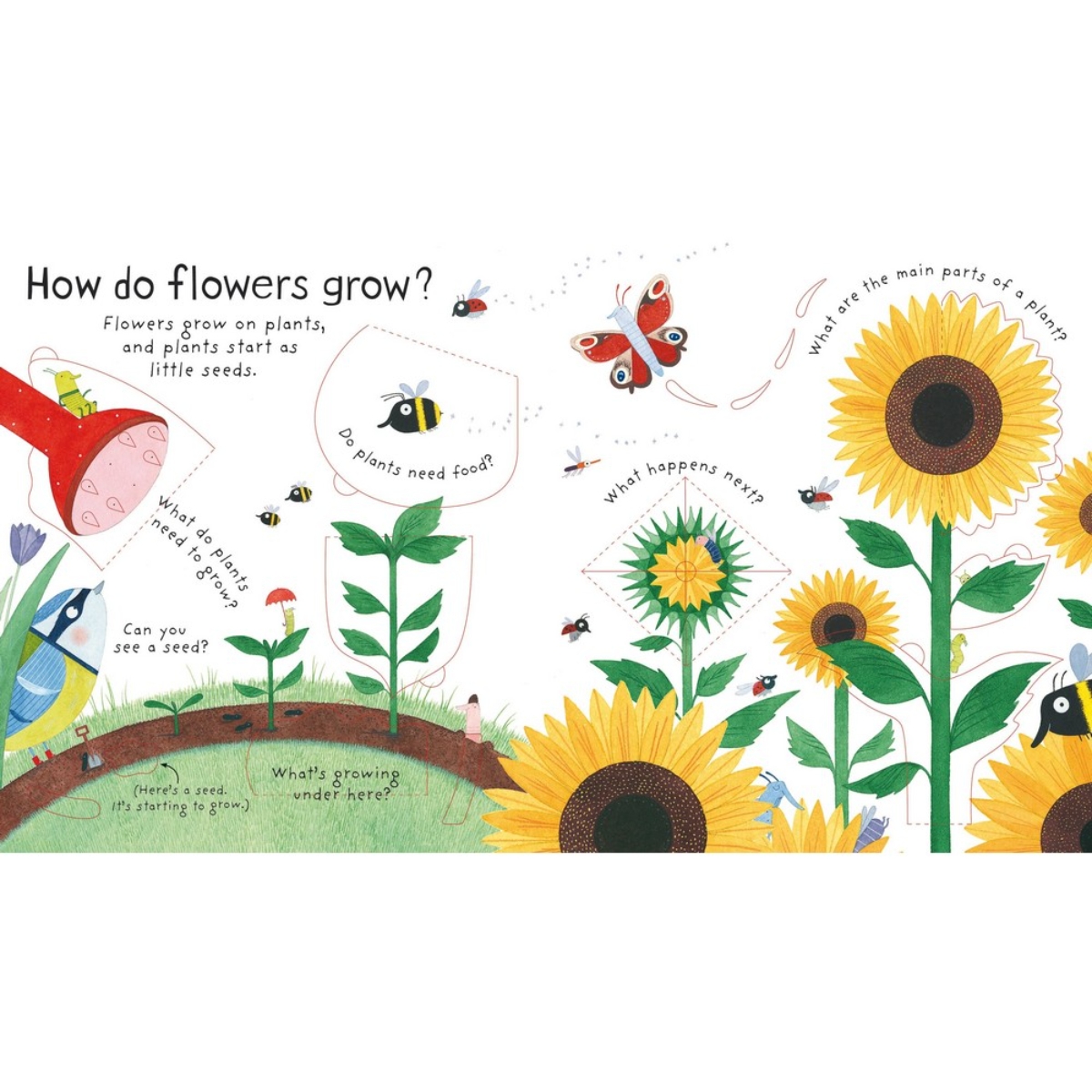 First Questions and Answers: How Do Flowers Grow? by Katie Daynes - 1 May 2015