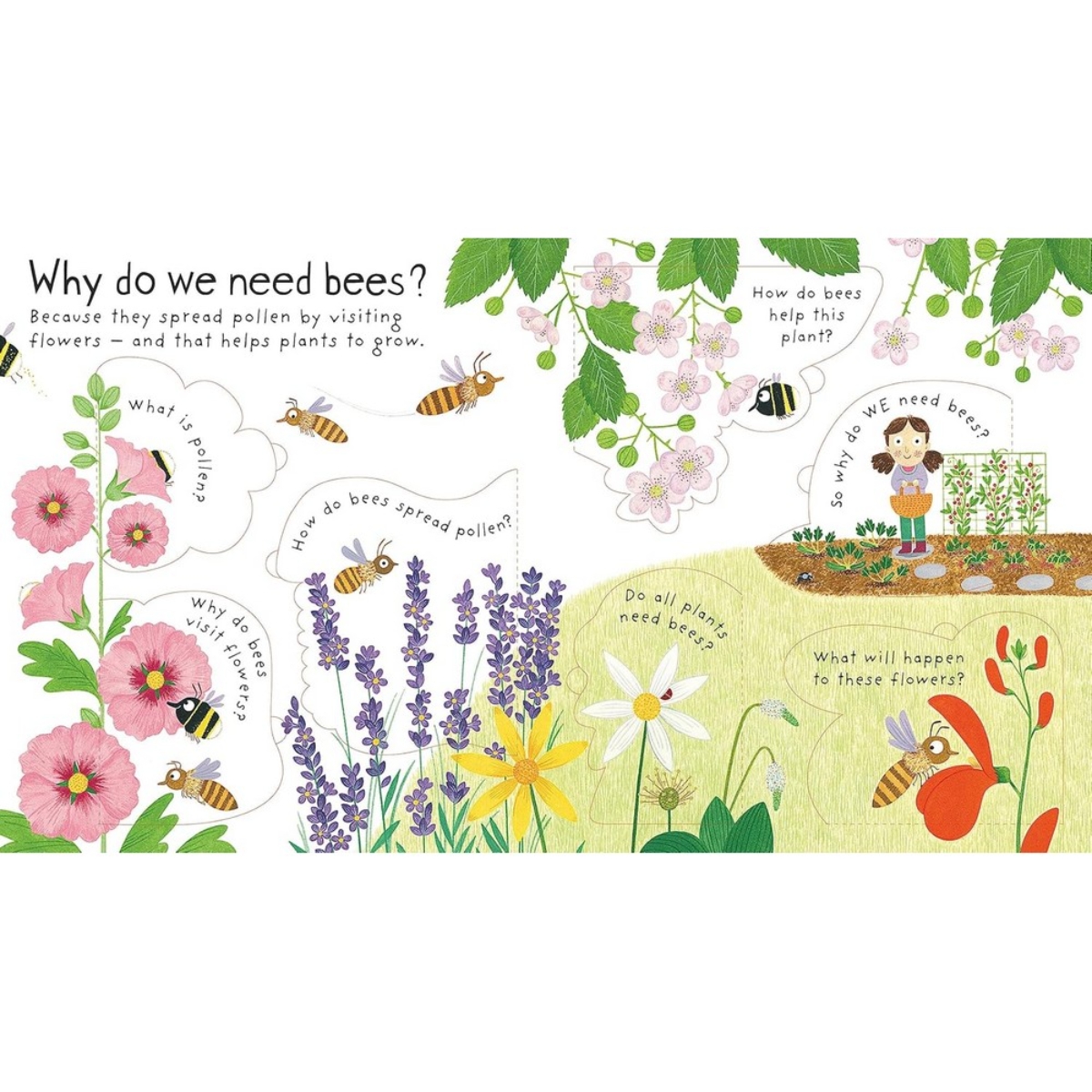 First Questions and Answers: Why do we need Bees? by Katie Daynes - 1 July 2017