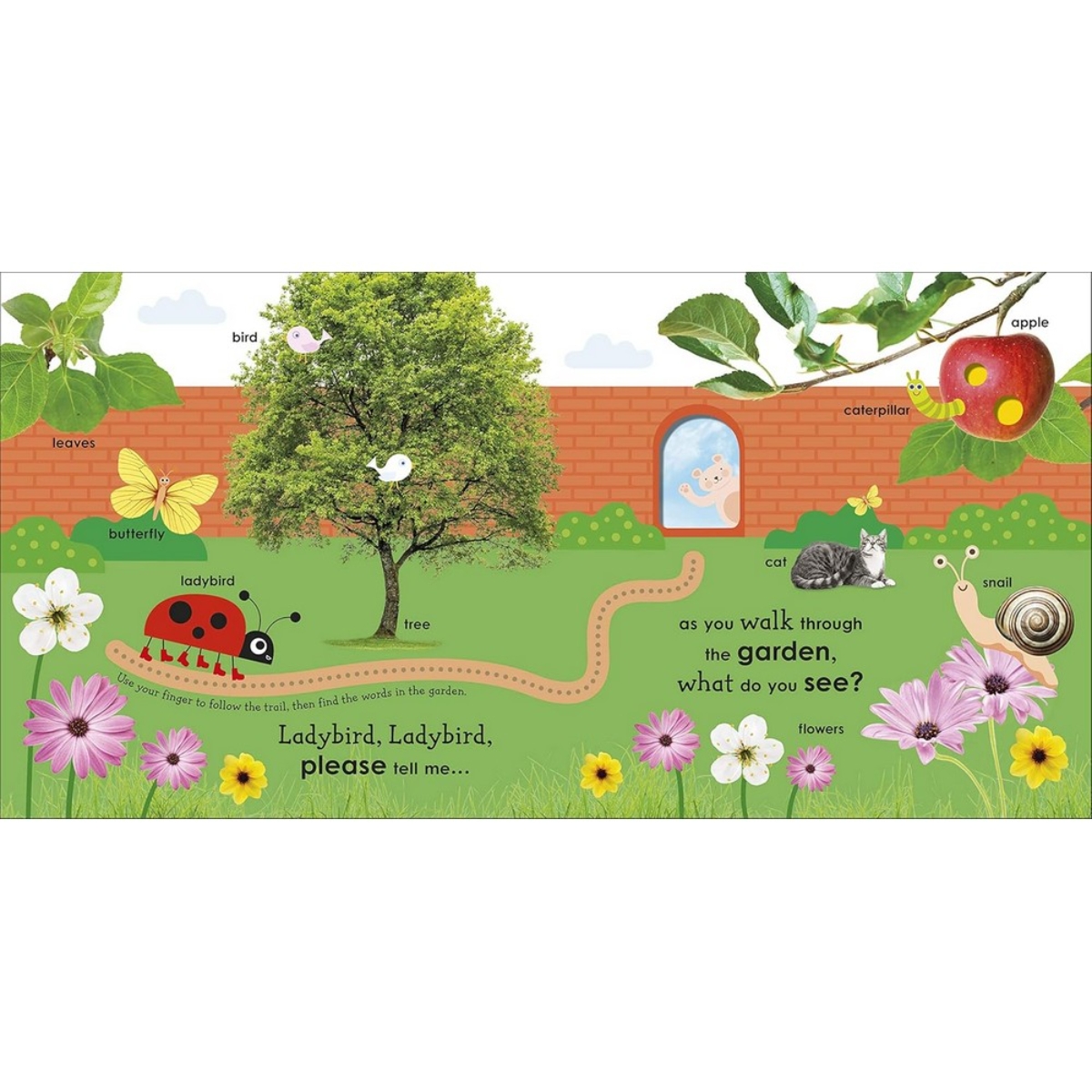 First Words with a Ladybird: تأليف دي كي - 5 مارس 2020