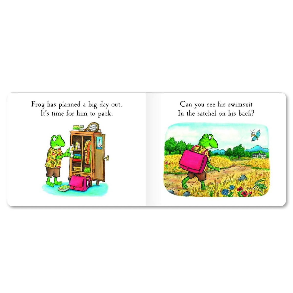 Frog’s Day Out: قصة ارفع الصفحات من تأليف جوليا دونالدسون – 25 أبريل 2024