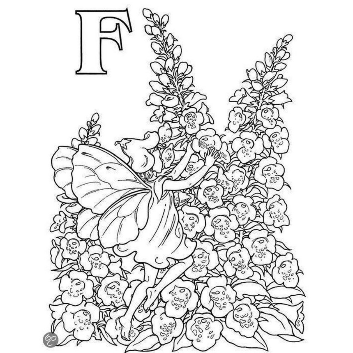 Garden Fairy Alphabet Coloring Book by Darcy May - 13 Sep 1996