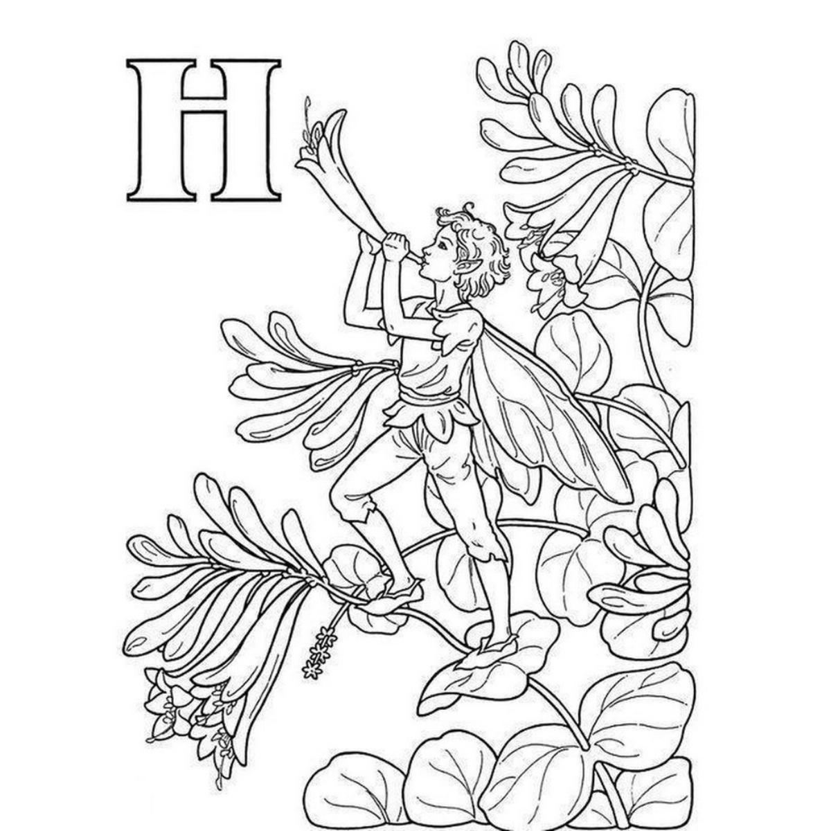 Garden Fairy Alphabet Coloring Book by Darcy May - 13 Sep 1996