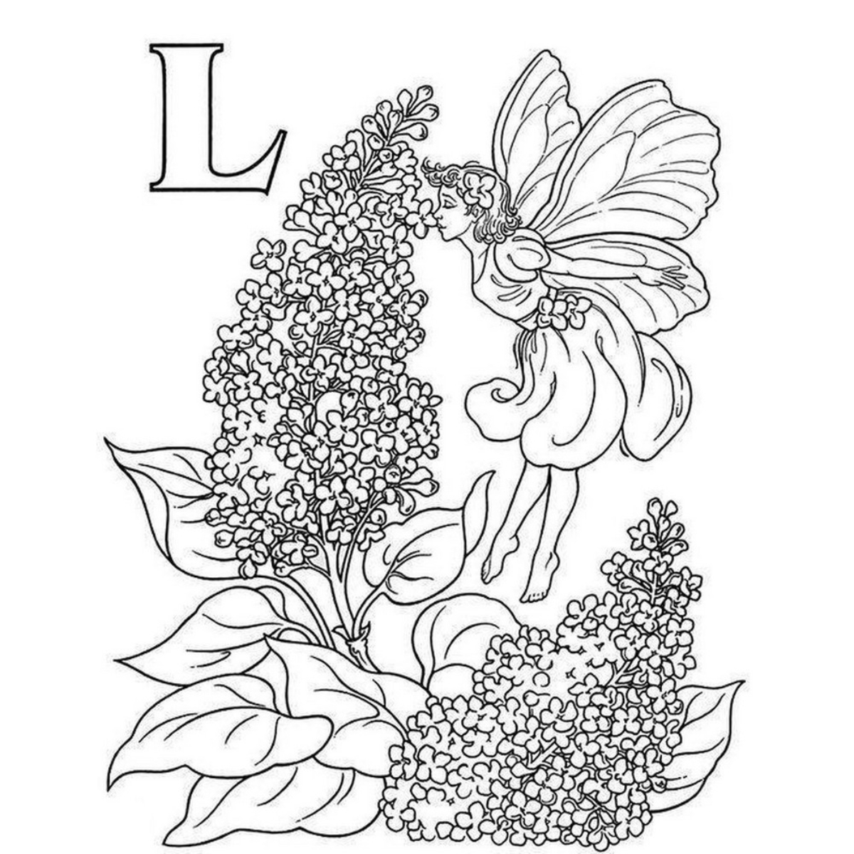 Garden Fairy Alphabet Coloring Book by Darcy May - 13 Sep 1996