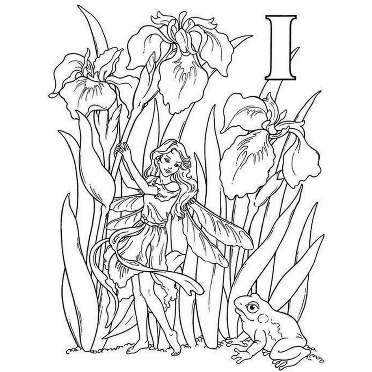 Garden Fairy Alphabet Coloring Book by Darcy May - 13 Sep 1996
