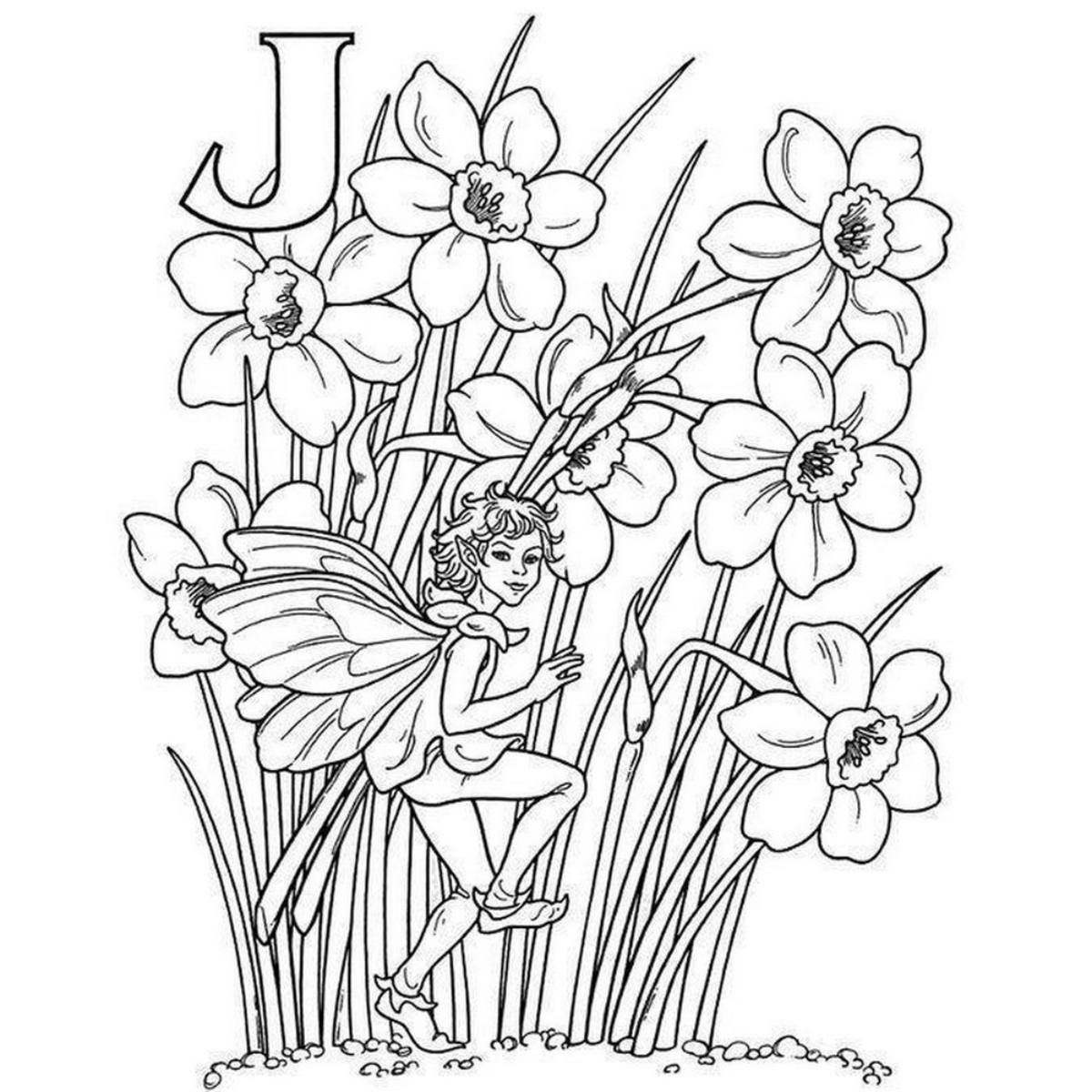 Garden Fairy Alphabet Coloring Book by Darcy May - 13 Sep 1996