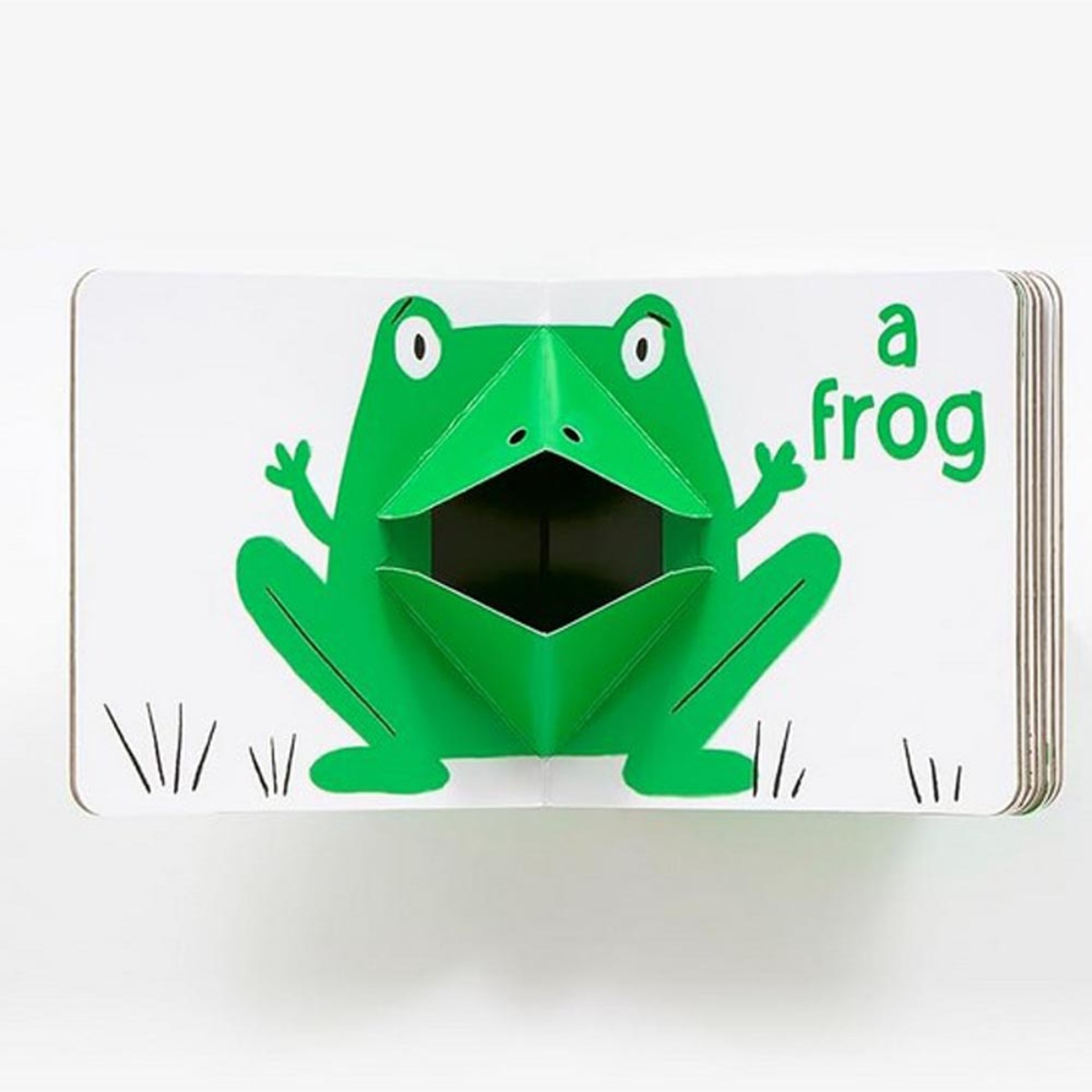 Green Pop (With 6 Playful Pop-Ups!): كتاب بورد منبثق تأليف أورور بيتي - 10 سبتمبر 2024