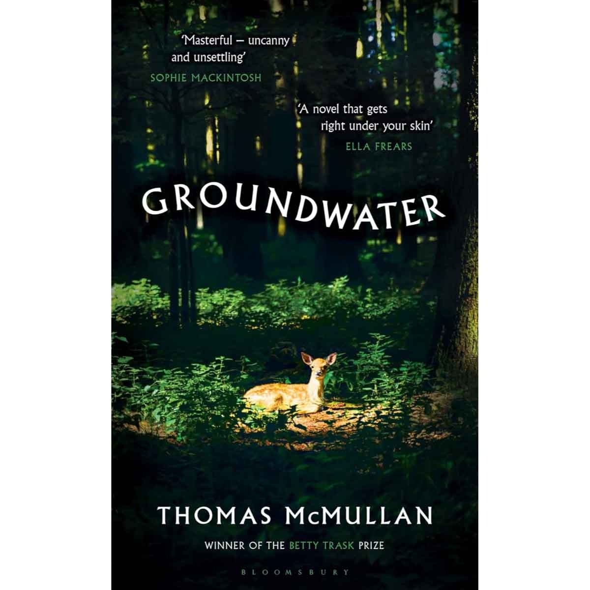 Groundwater by Thomas McMullan - 17-07-2025