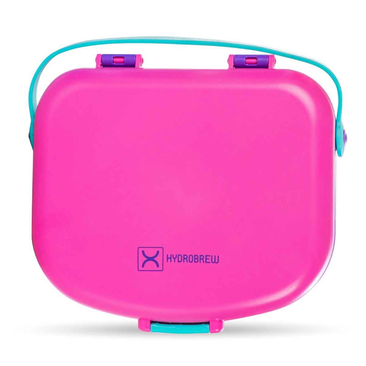 HYDROBREW Fuchsia 4-Compartment Bento Lunch Box with Spoon & Fork Set