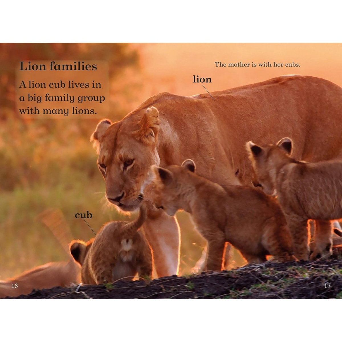 Ladybird Readers Level 1 - BBC Earth - Baby Animals (ELT Graded Reader) by Ladybird - 6 July 2017