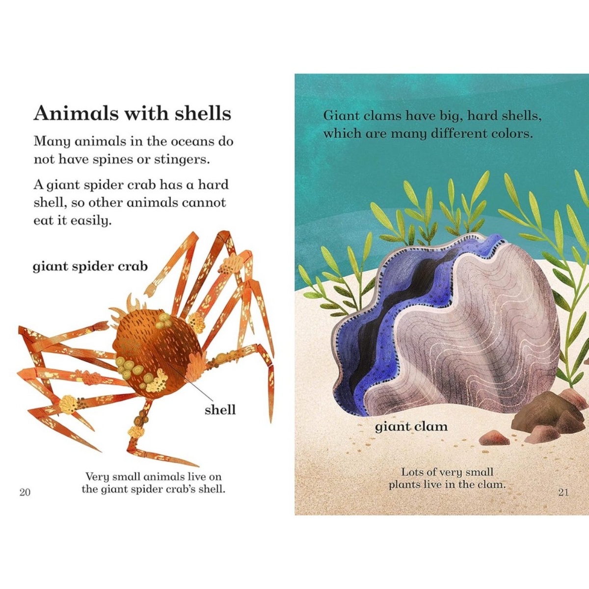 Ladybird Readers Level 4 - Under the Oceans (ELT Graded Reader): تأليف ليدي بيرد - 6 يوليو 2017