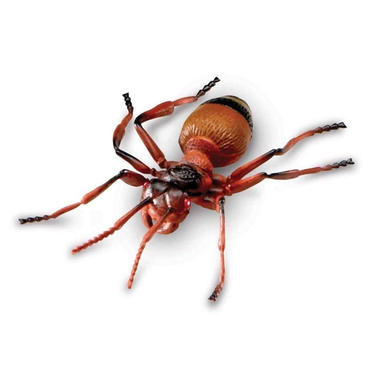 ليرننغ ريسورسز مجموعة حشرات جامبو 7 قطع للجنسين، 3-4 سنوات