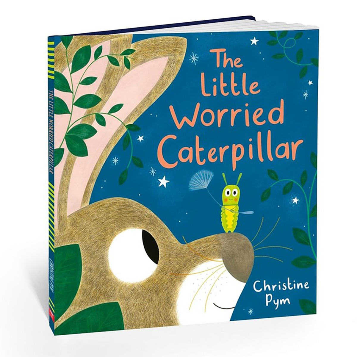 Little Worried Caterpillar (HB) by Pym Christine - 1 Aug 2024