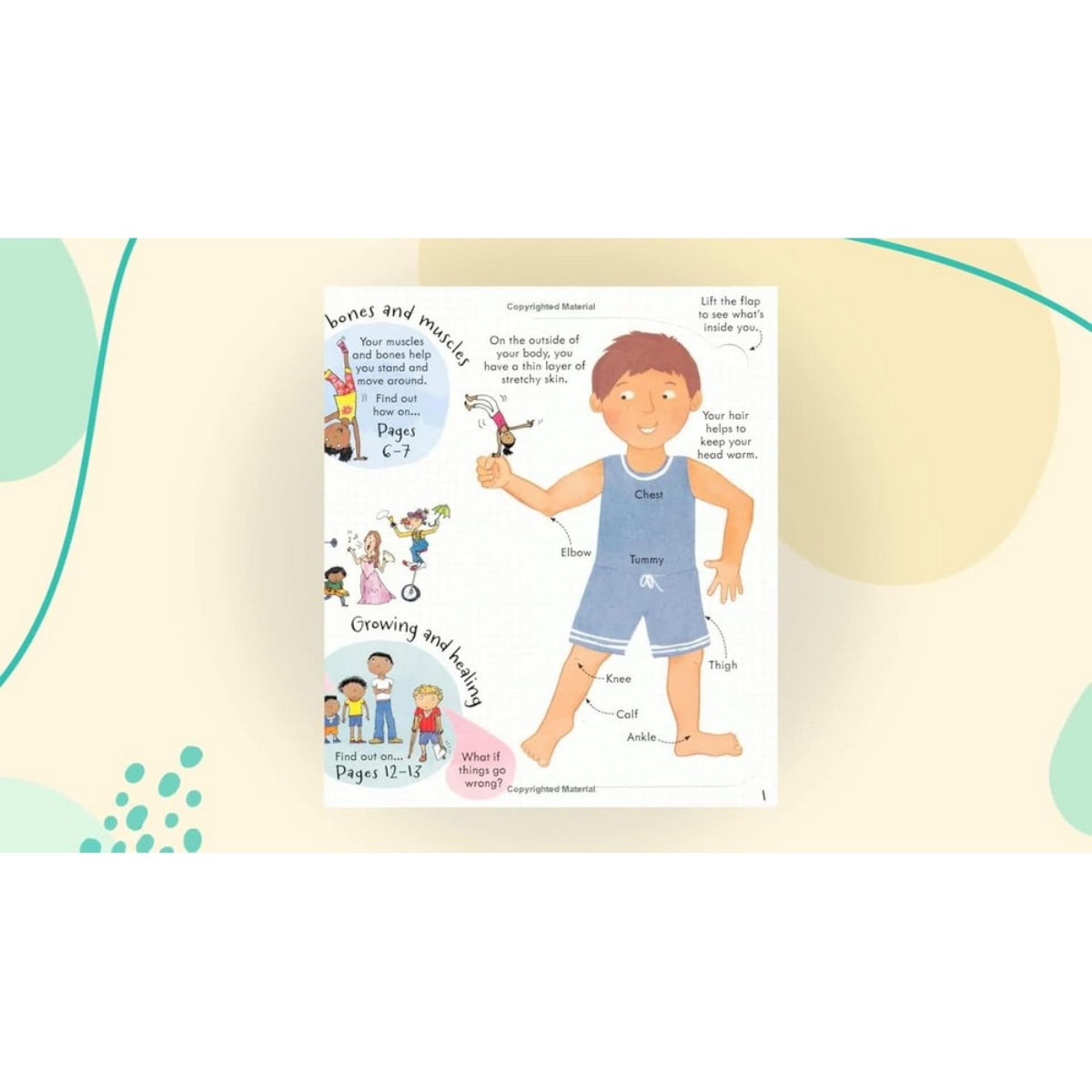 Look Inside Your Body تأليف لوي ستويل - 1 أغسطس 2012