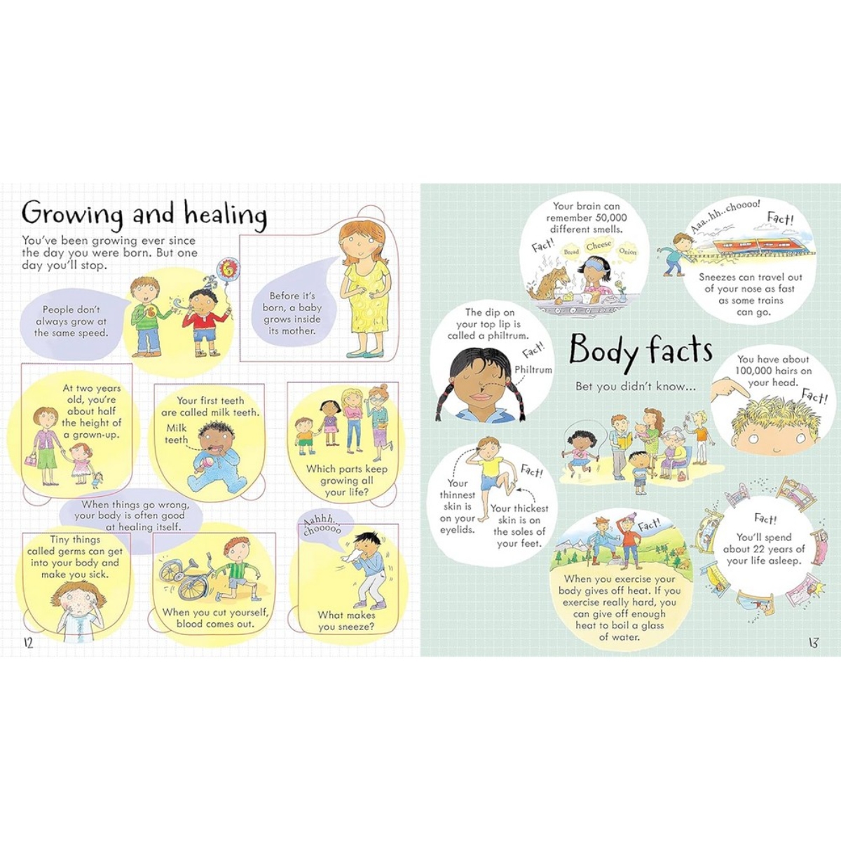 Look Inside Your Body تأليف لوي ستويل - 1 أغسطس 2012