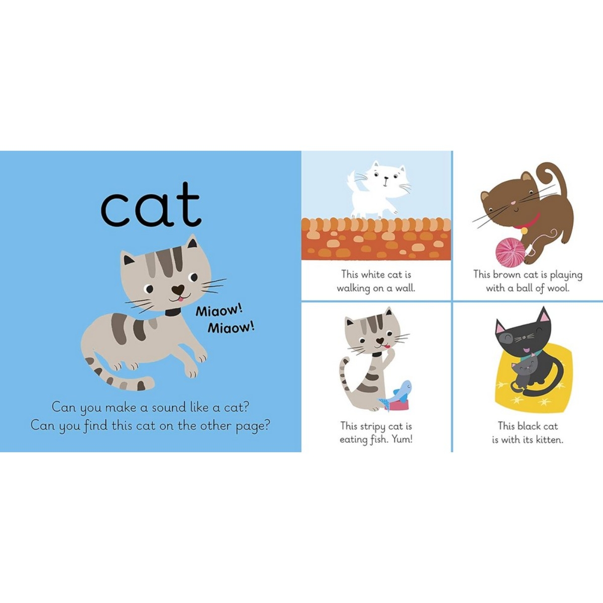 My First Animals: متعلمو ليدي بيرد تأليف ليدي بيرد - 4 يونيو 2015