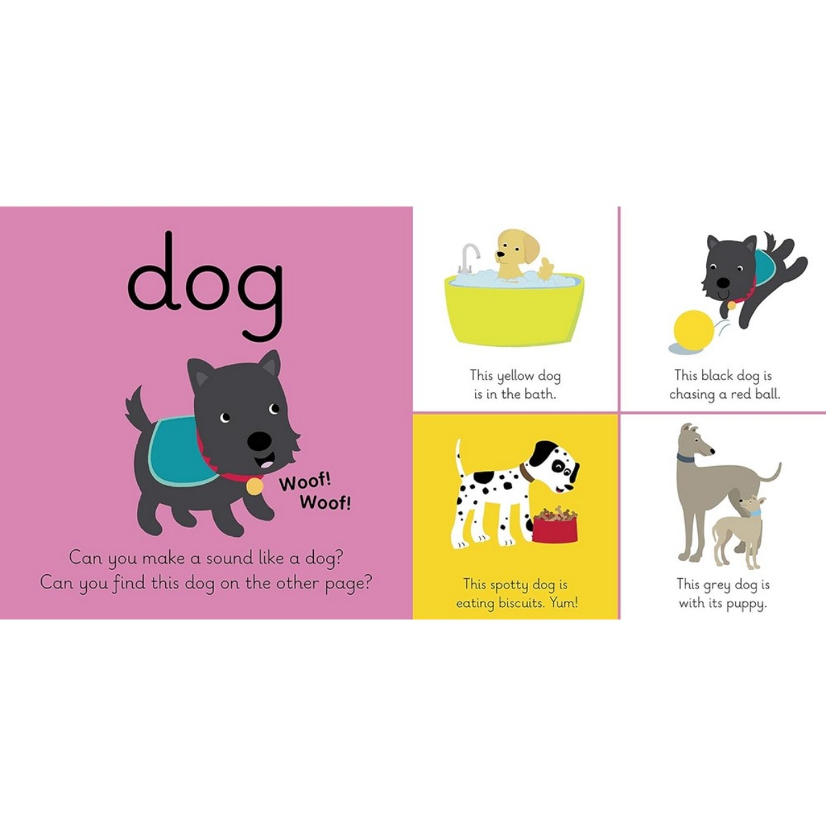 My First Animals: متعلمو ليدي بيرد تأليف ليدي بيرد - 4 يونيو 2015