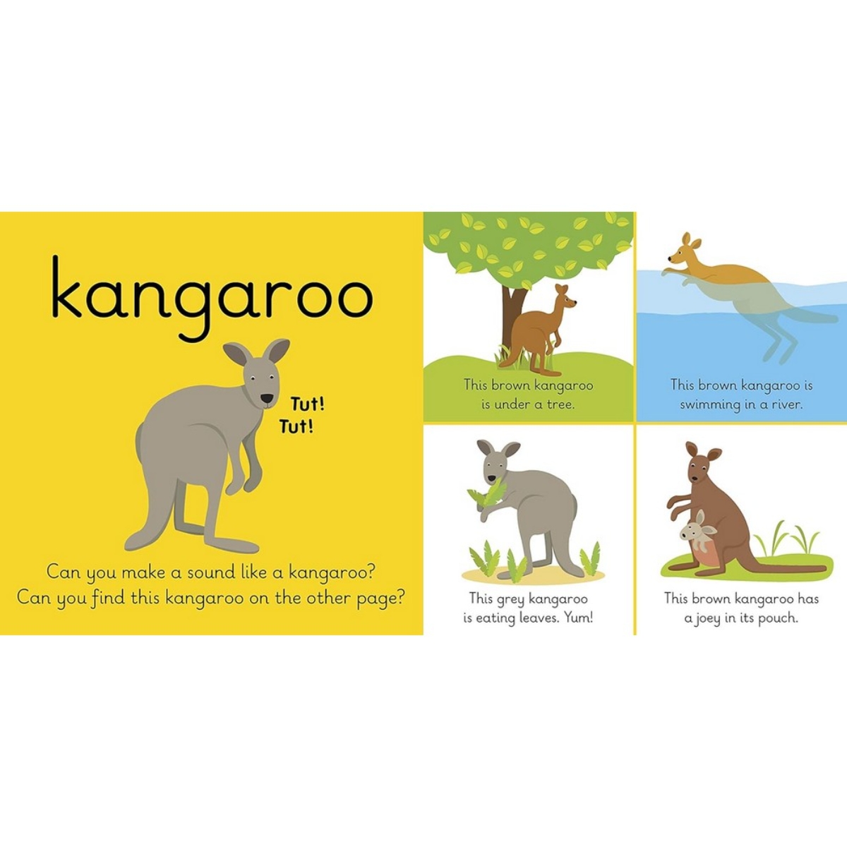 My First Animals: متعلمو ليدي بيرد تأليف ليدي بيرد - 4 يونيو 2015