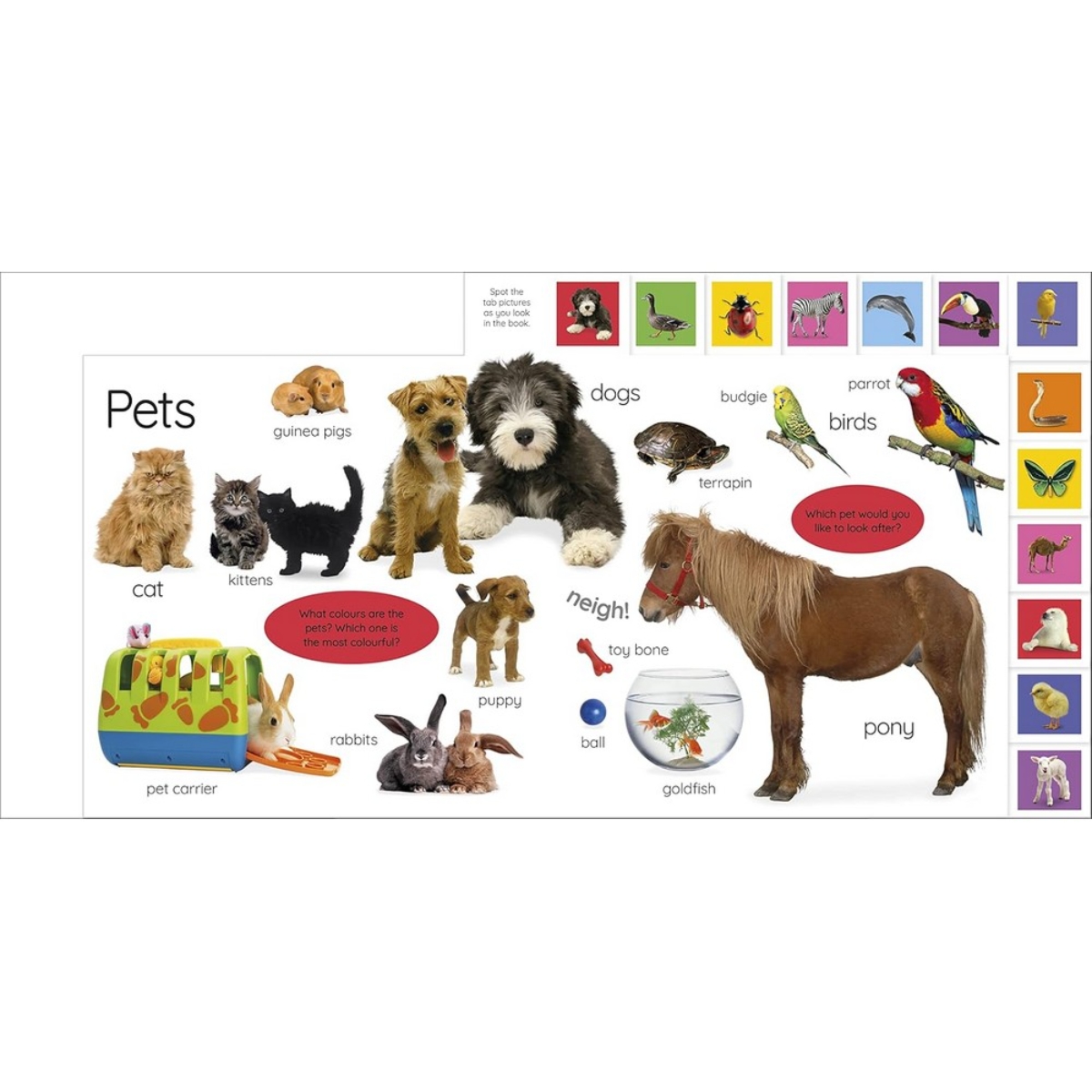 My First Animals: Let's Squeak and Squawk! by DK - 12 Apr 2022