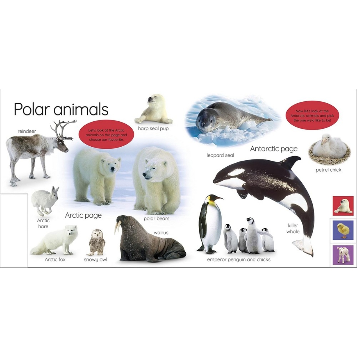 My First Animals: Let's Squeak and Squawk! by DK - 12 Apr 2022