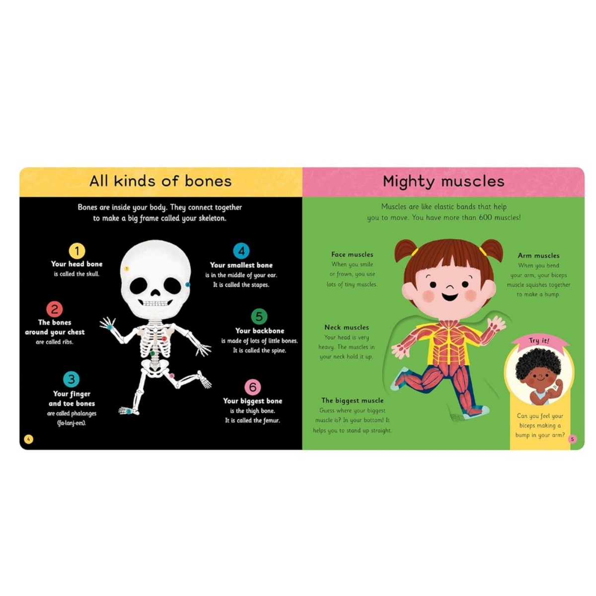 My First Body Book : استكشف جسمك عبر النوافذ والألسنة المنزلقة تأليف كامبل بوكس - 27 يوليو 2023