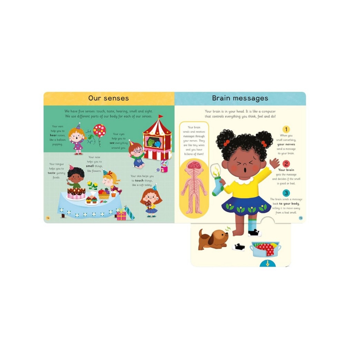 My First Body Book : استكشف جسمك عبر النوافذ والألسنة المنزلقة تأليف كامبل بوكس - 27 يوليو 2023