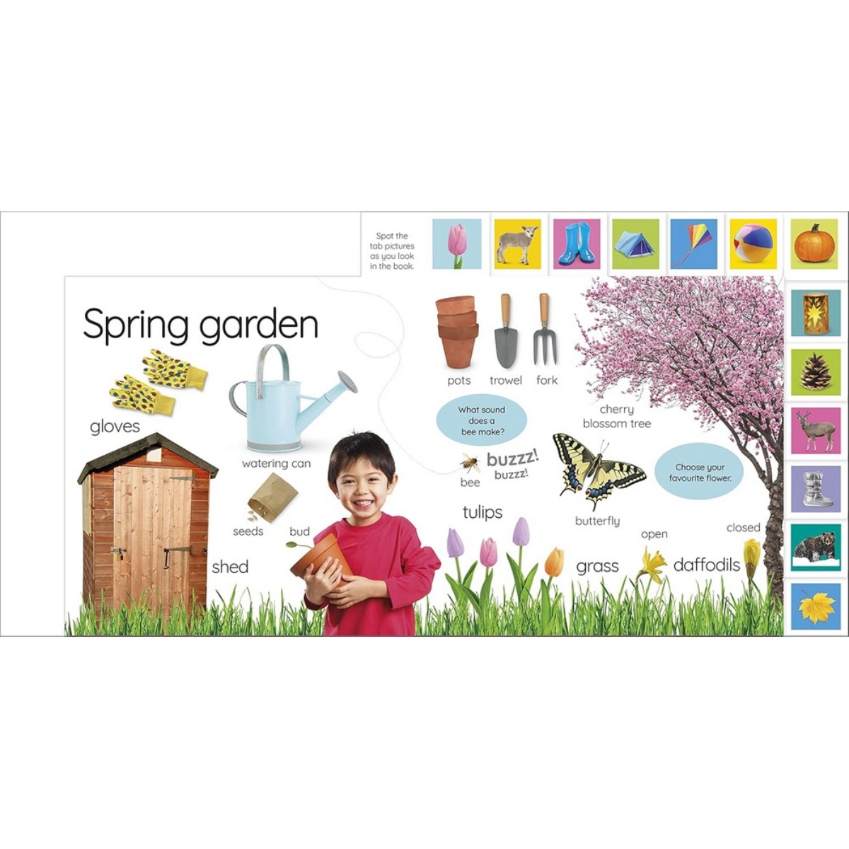 My First Seasons: لنتعرف على فصول السنة! تأليف DK - 12 أبريل 2022