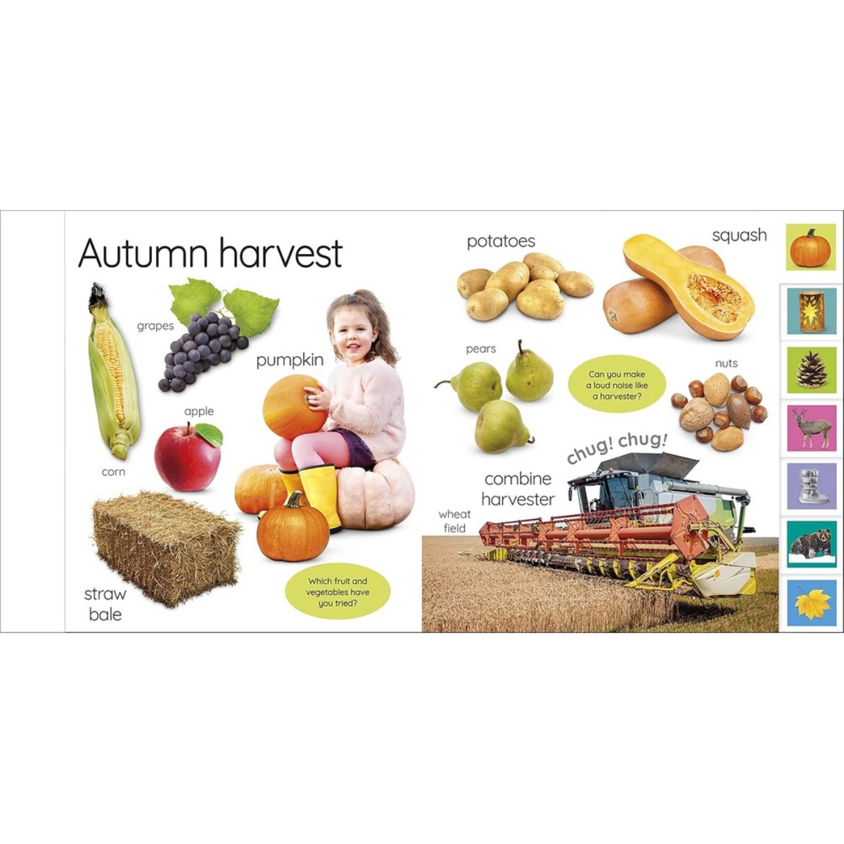 My First Seasons: لنتعرف على فصول السنة! تأليف DK - 12 أبريل 2022