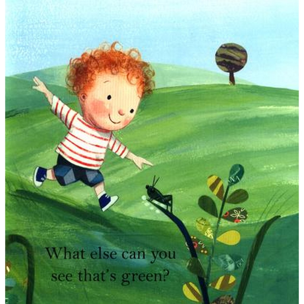 National Trust: Colours, A Walk in the Countryside : الألوان - نزهة في الريف تأليف روزاليند بيردشو - 2 مارس 2017