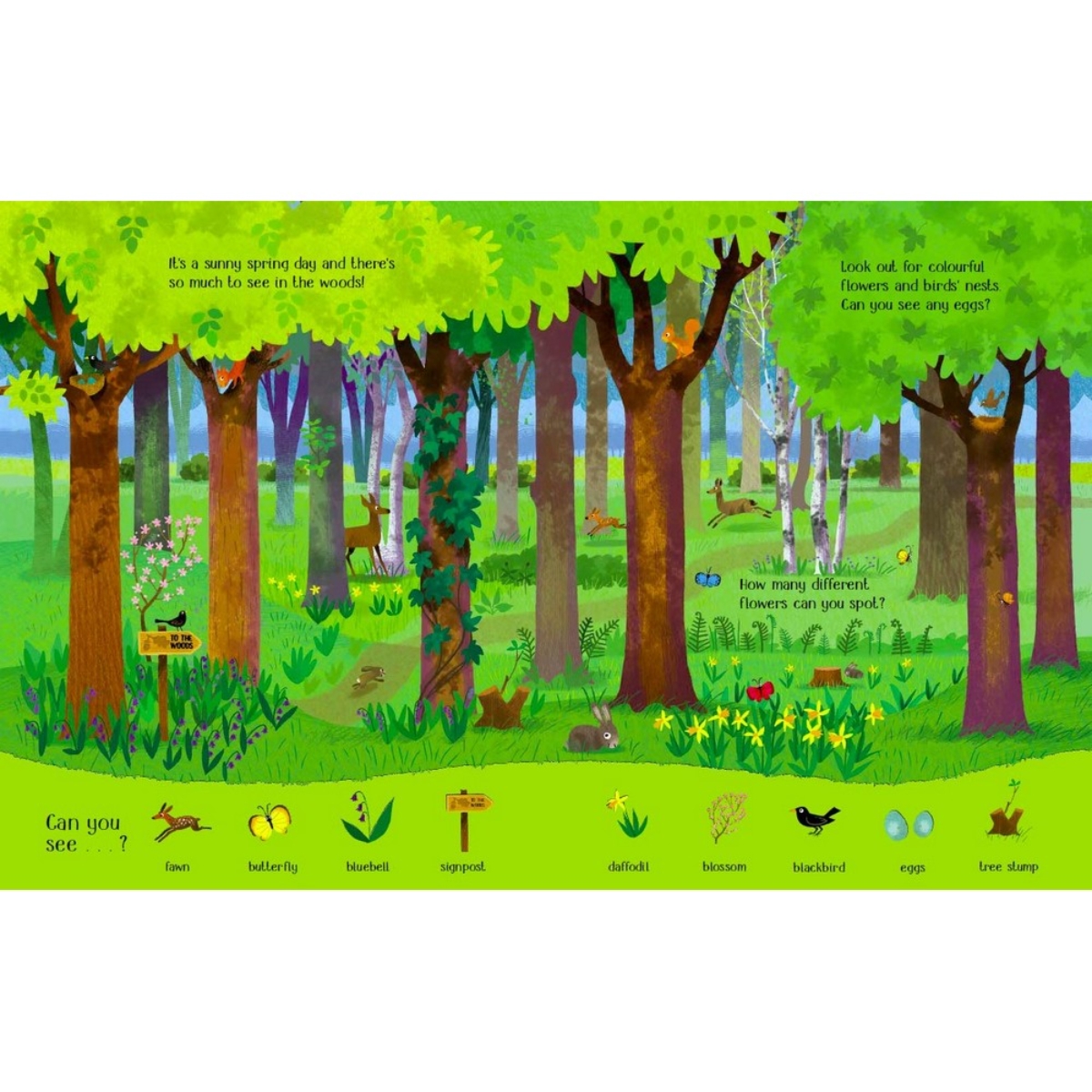 National Trust: Look and Say What You See in the Countryside تأليف سيباستيان براون - 3 مارس 2016