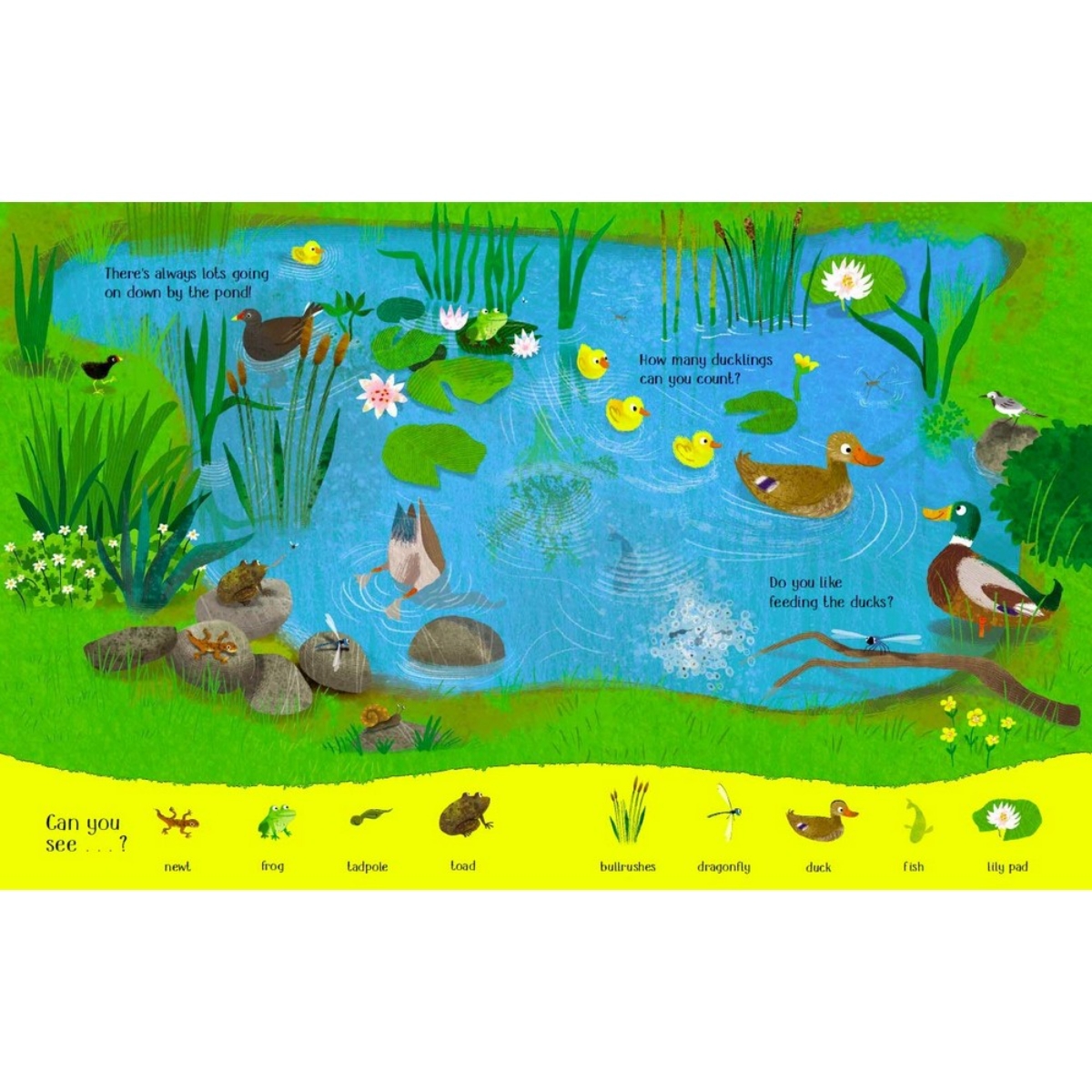 National Trust: Look and Say What You See in the Countryside تأليف سيباستيان براون - 3 مارس 2016