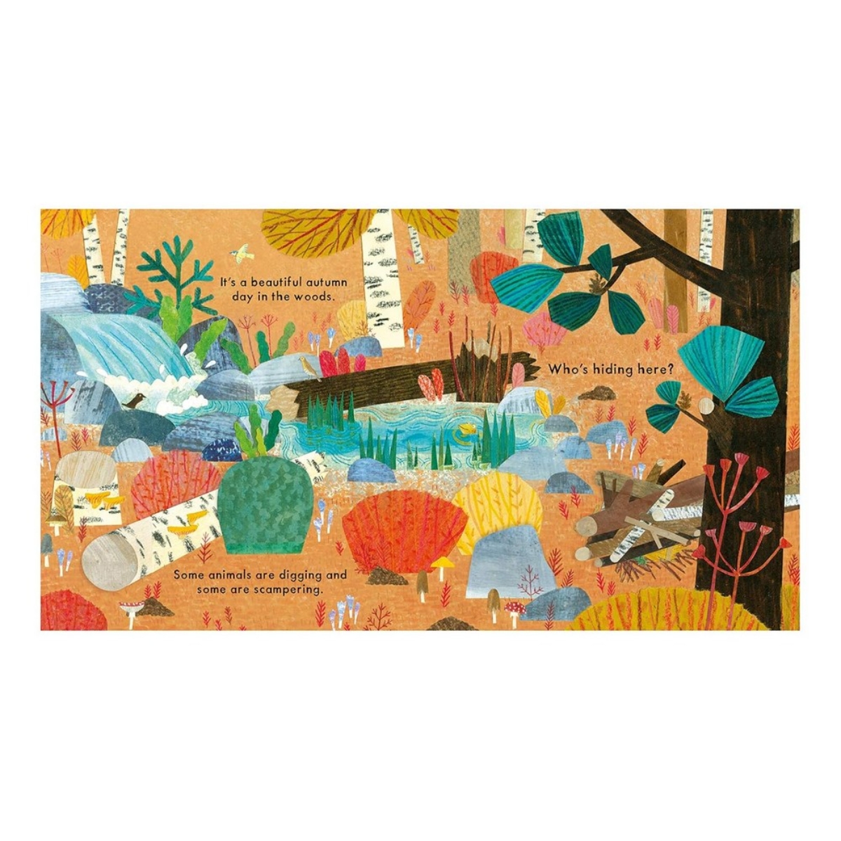 National Trust : Who's Hiding In The Woods? by Katharine McEwen - 7 Mar 2019