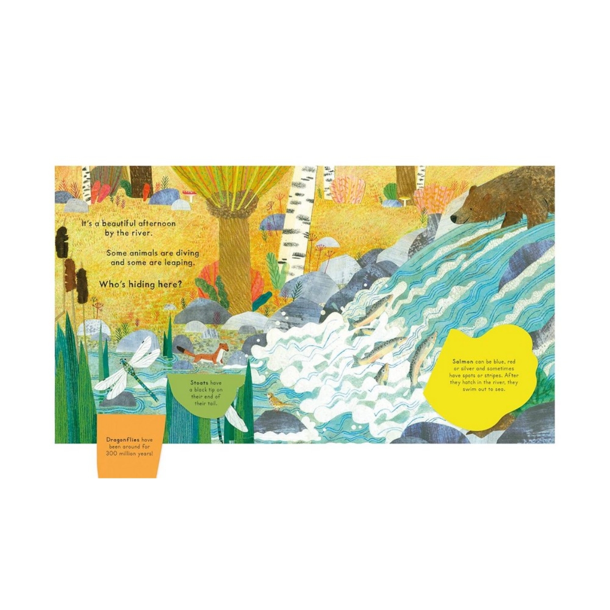 National Trust: من يختبئ على النهر؟ تأليف كاثرين ماكيوين - 1 مارس 2018